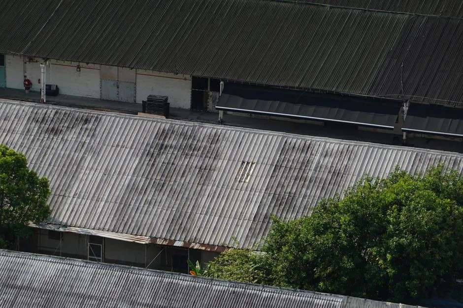 Epdm Roofing in Oakville